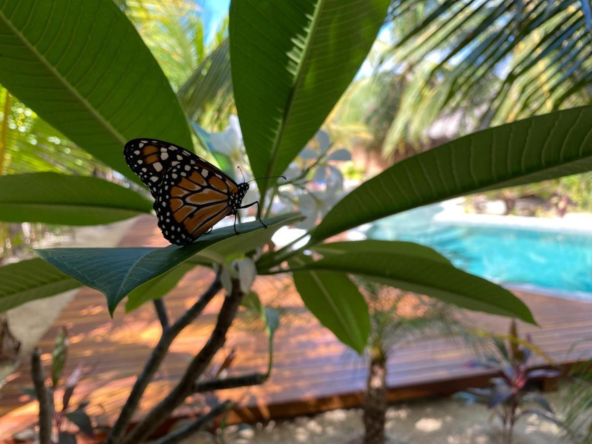 Pousada Villa Zen Barra Grande  Kültér fotó