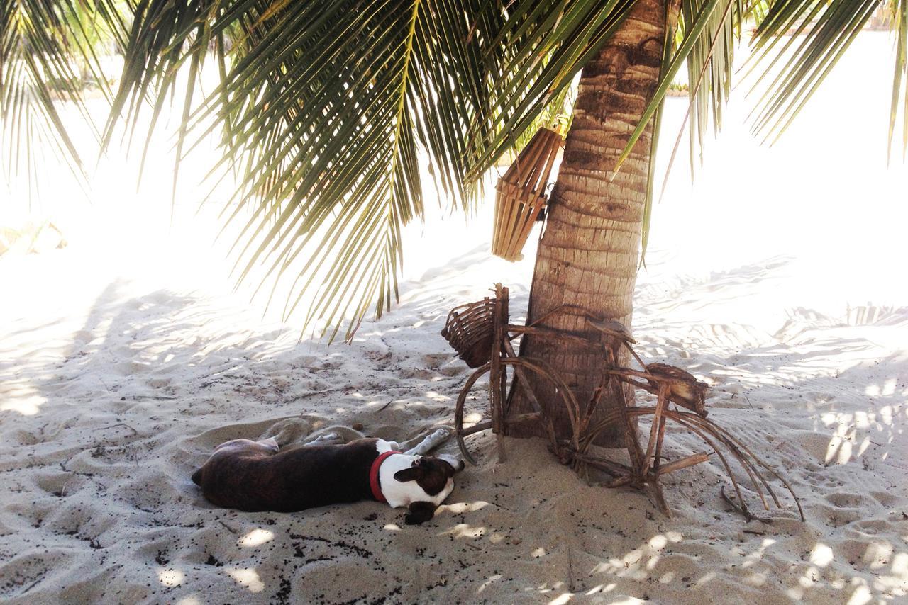 Pousada Villa Zen Barra Grande  Kültér fotó